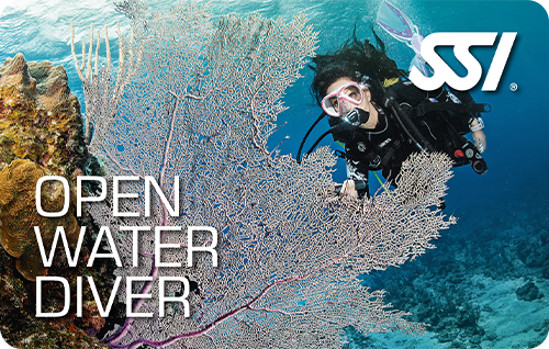 VIP Open Water Diver Tauchausbildung bei Atlantis Berlin