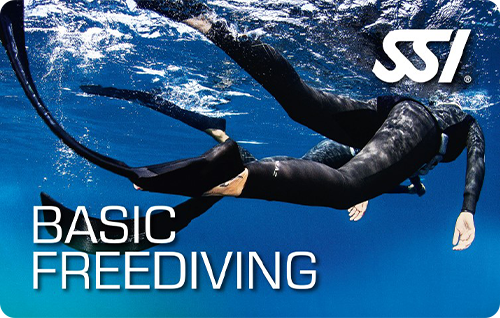 basic-freediving-ssi-atlantis-tauchschule