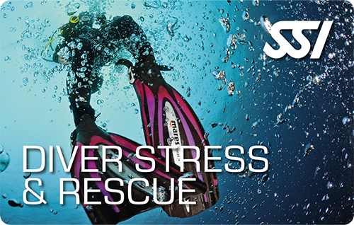 Stress and Rescue