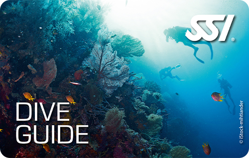 diveguide-bigblue Dive Guide - SSI Specialty