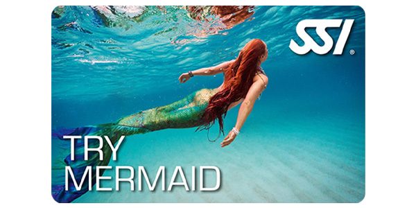 mermaid-testbild